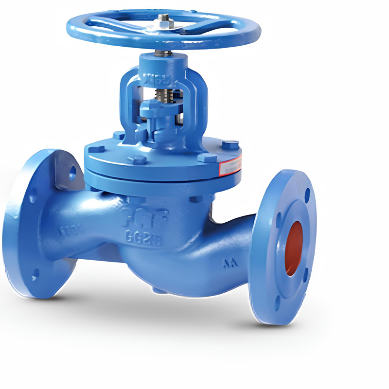 Steam Globe Valve
